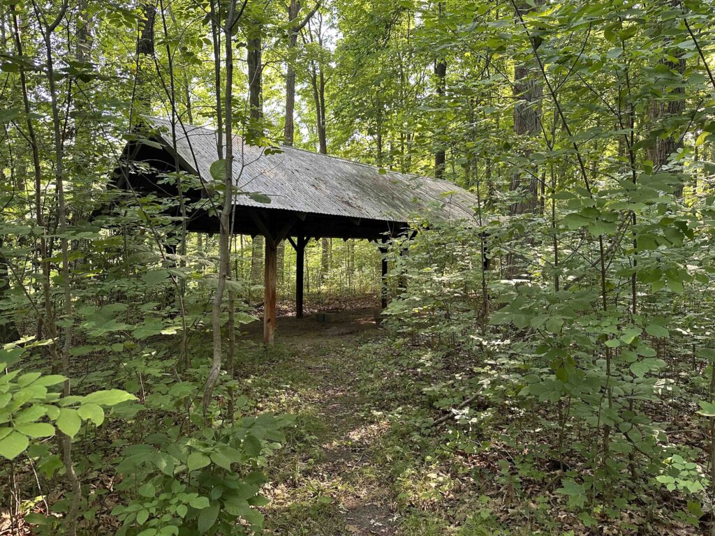 Shelter in the woods