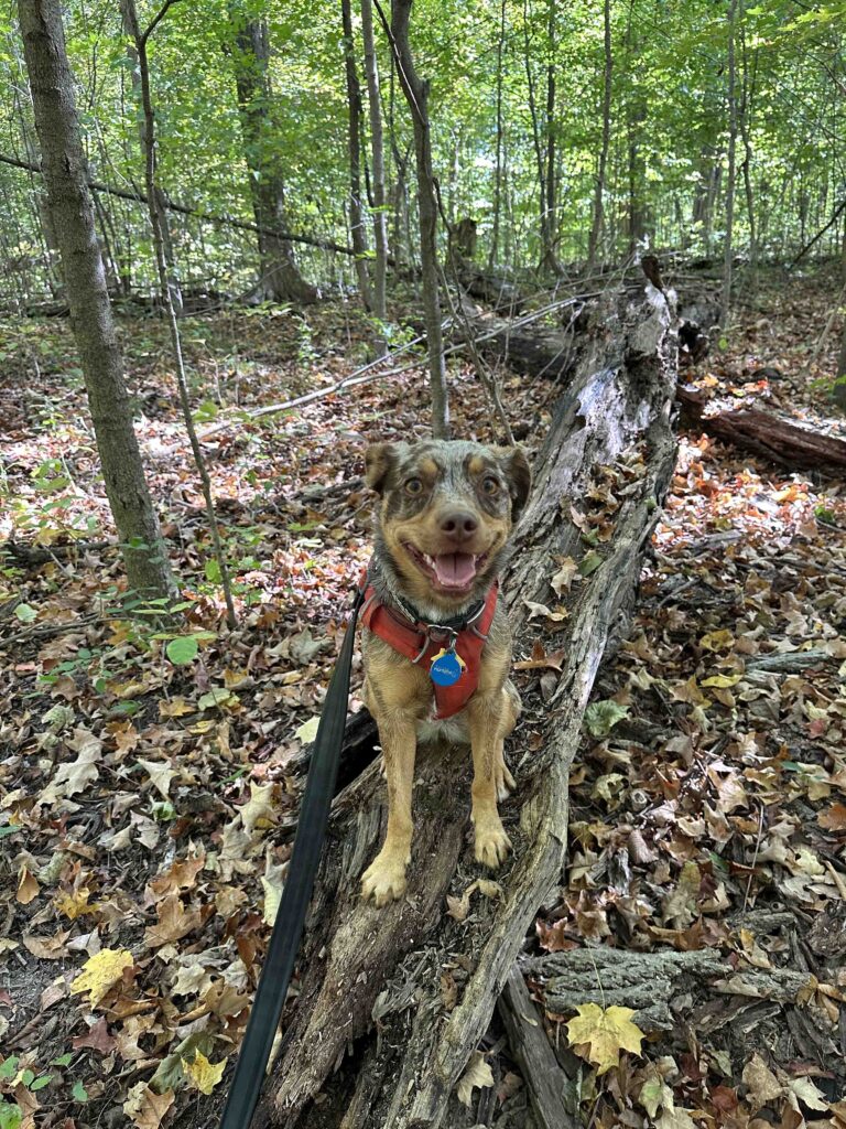 all smiles at Evelyn and Wendell Dygert Nature Preserve