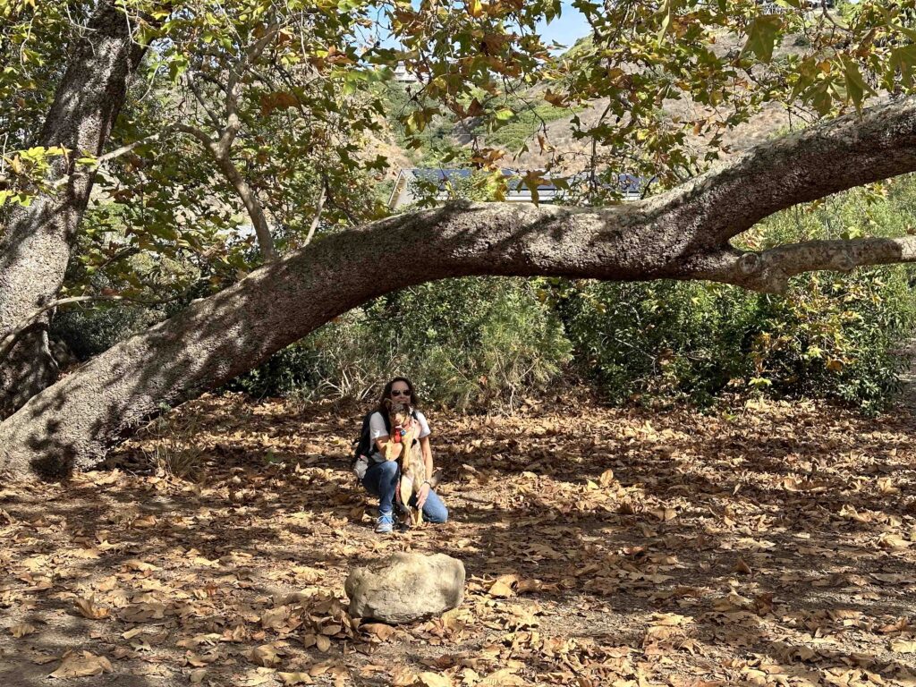 the girls under a tree