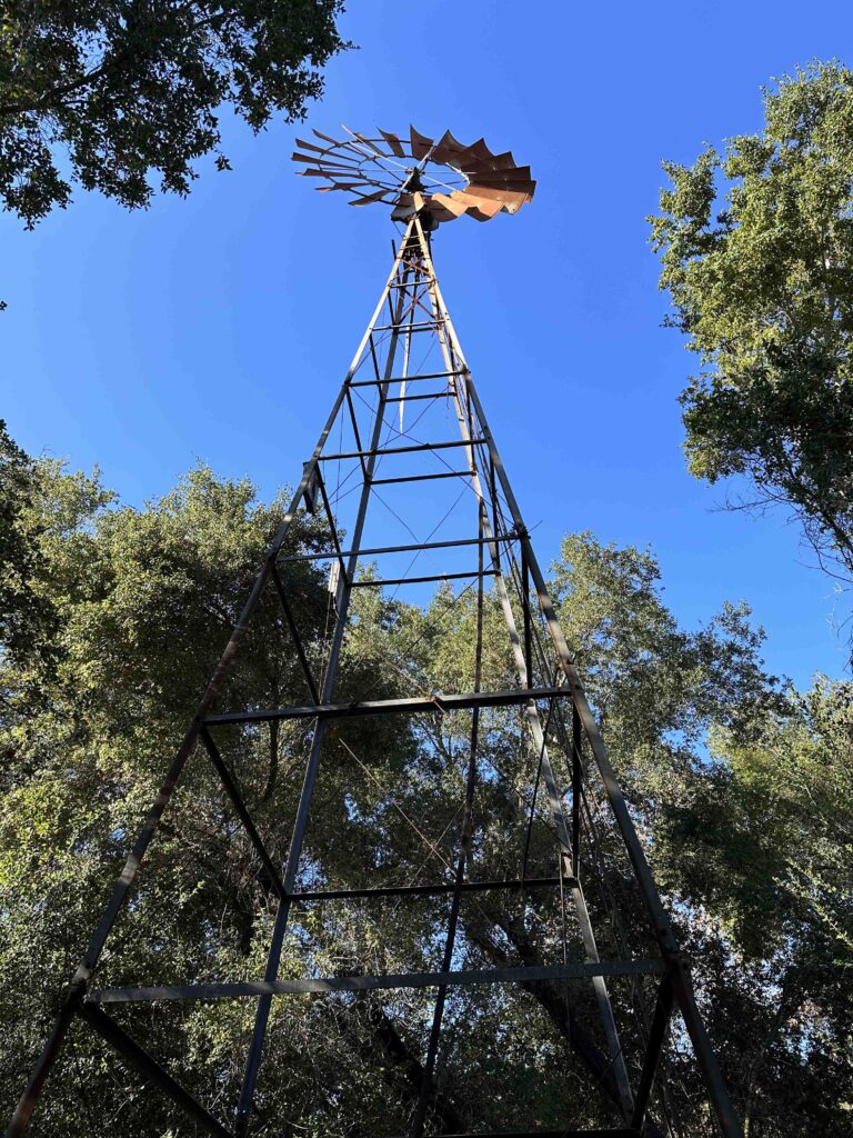 windmill near the ranch