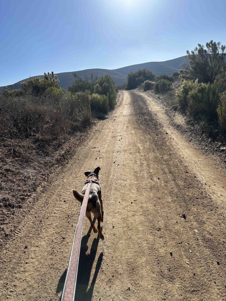 on the dirt road