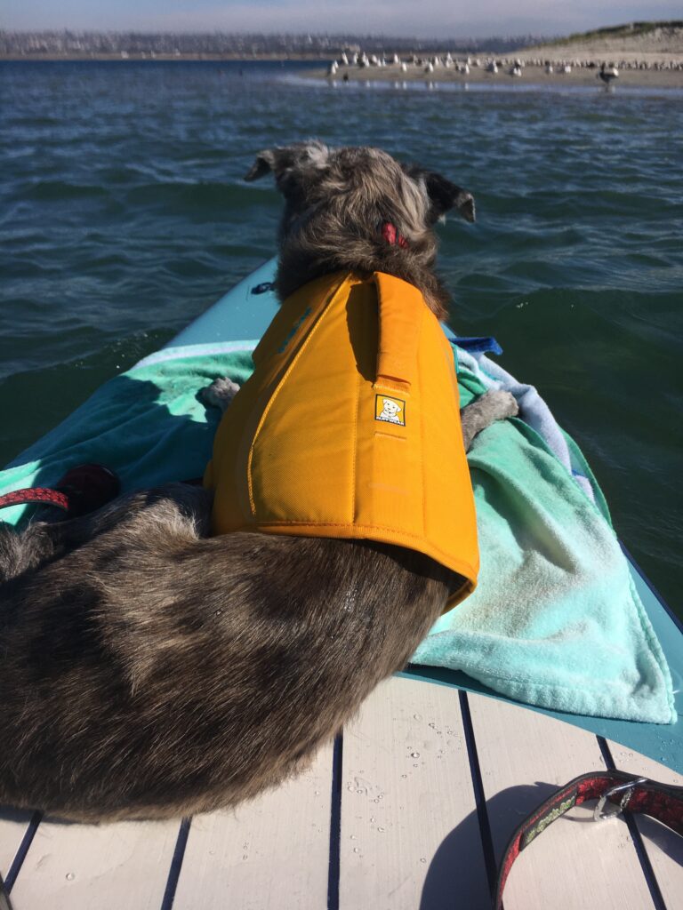 kayaking on Mission Bay