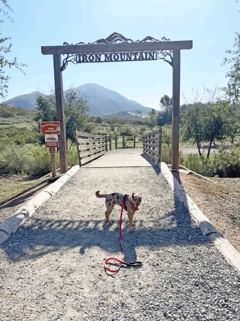 entrance gate to Iron Mountain