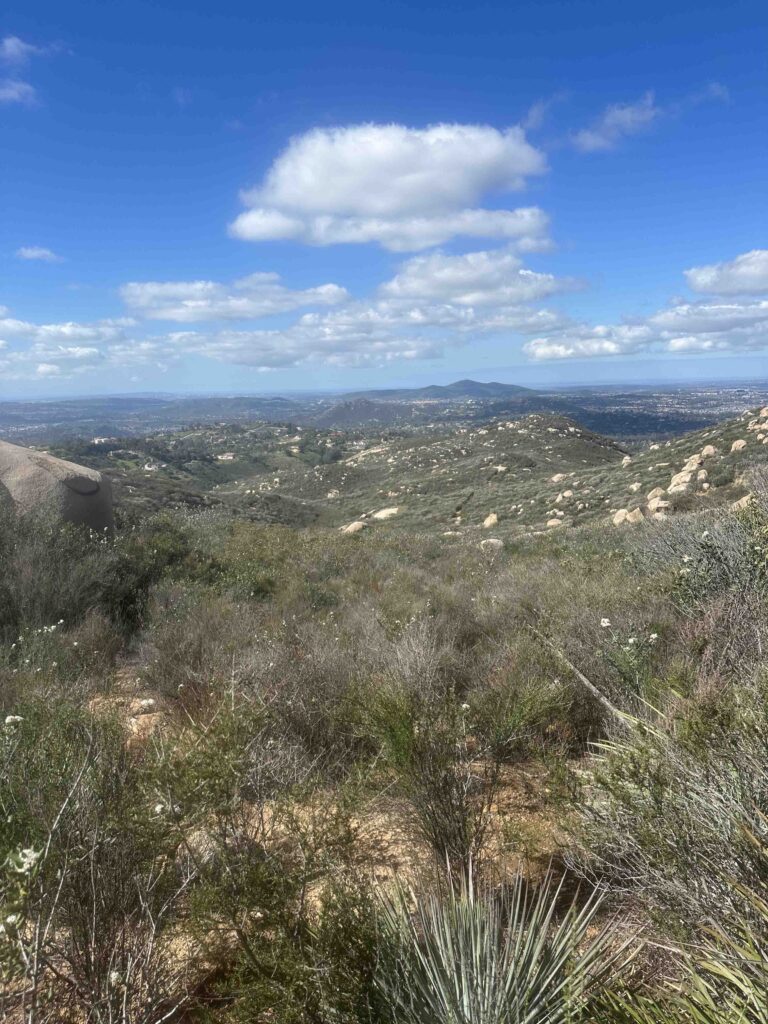 view from the trail