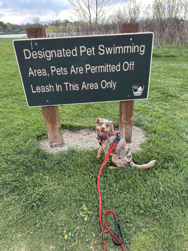 Sign for dog beach