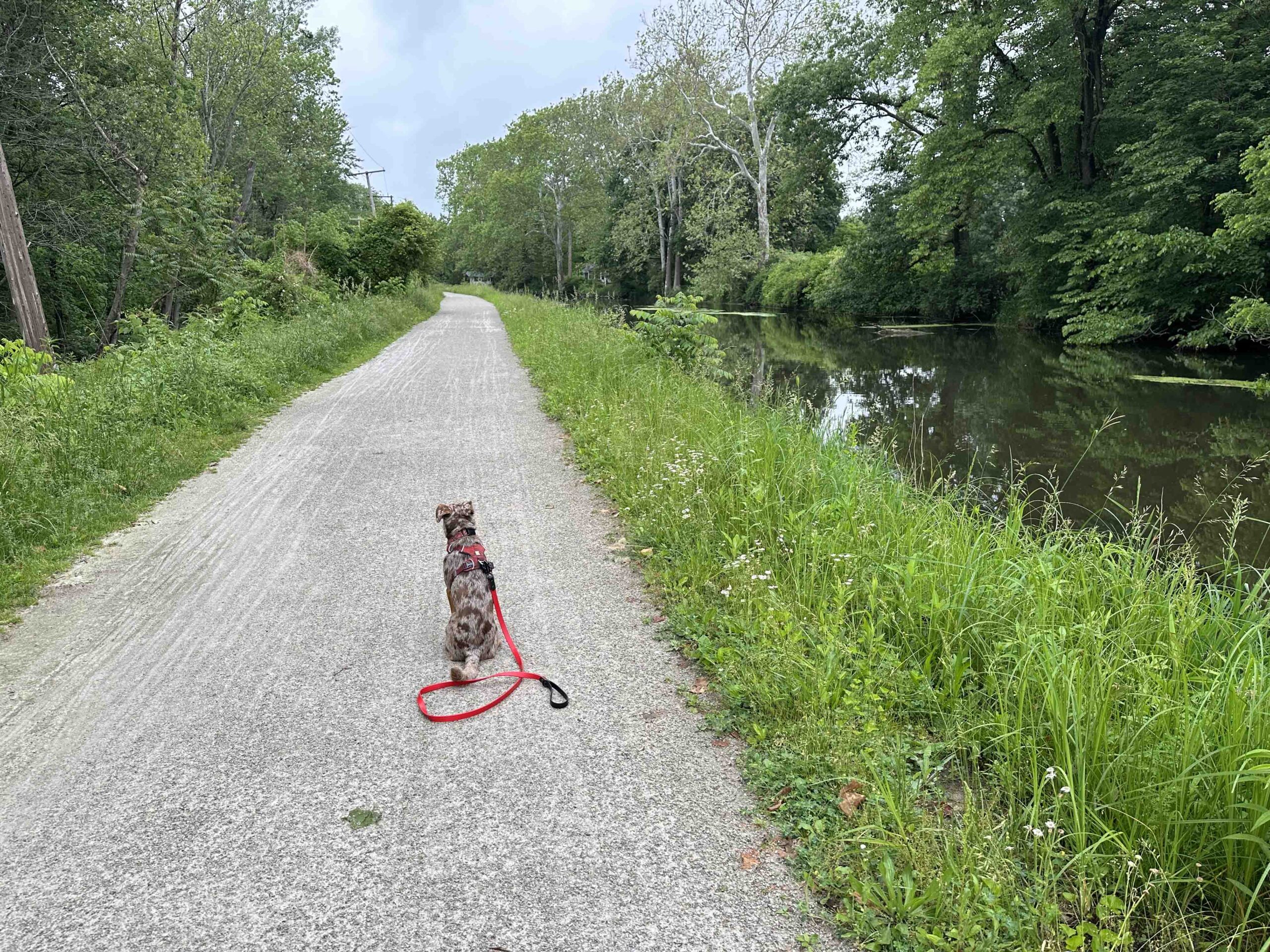 Millrace Canal Trail