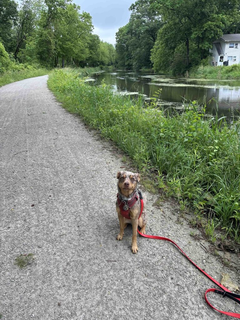 On the Mill Race Canal Trail