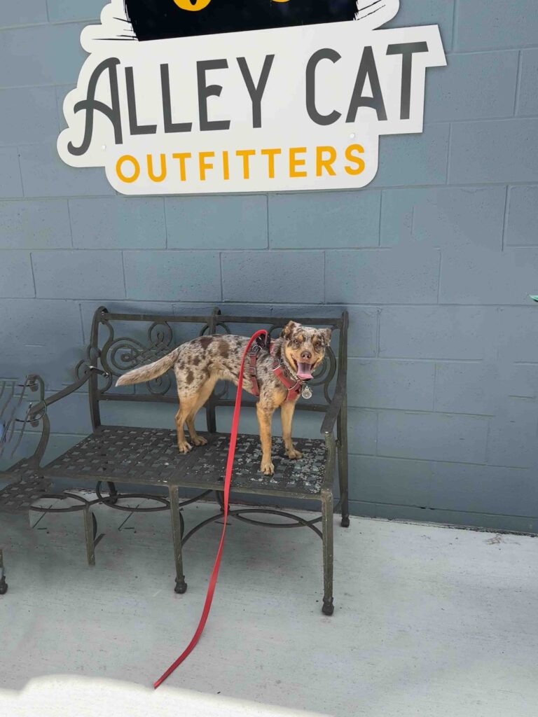 Sunny at Alley Cat Outfitters