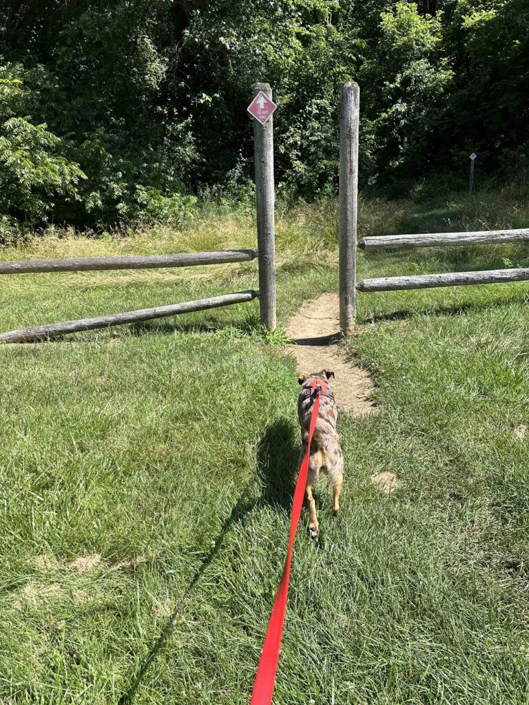 entrance to red trail