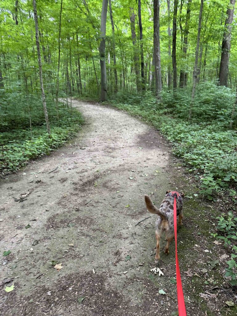 On the trail at Maple Wood Nature Preserve