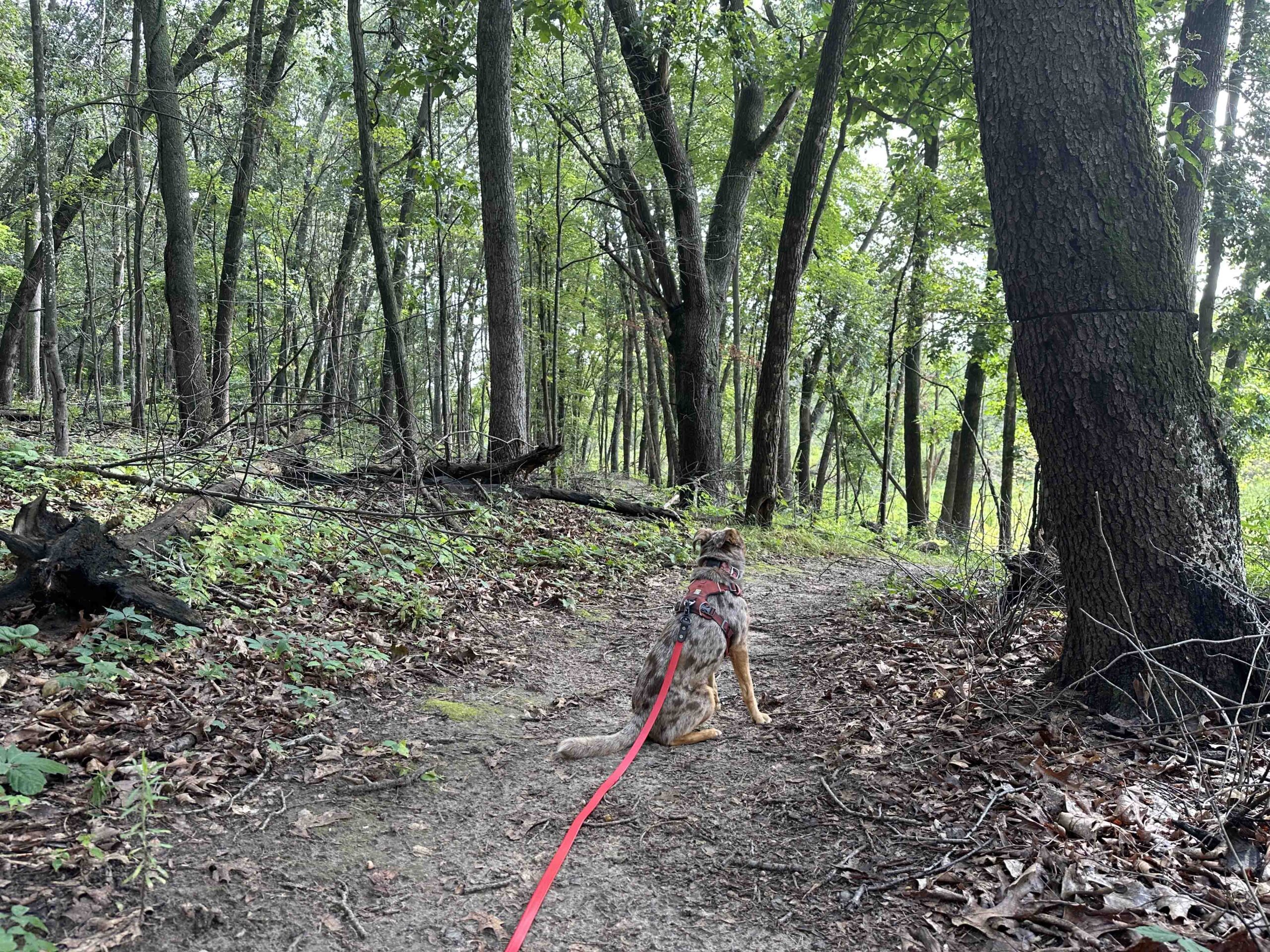 Plumb Lake County Park