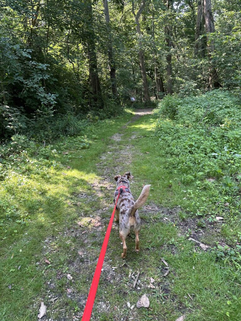 start of the Riverbend park trail