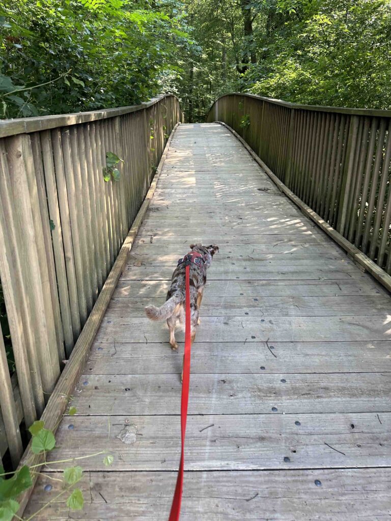 on the bridge over Elkhart River