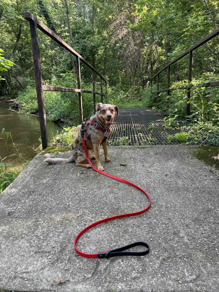 metal bridge