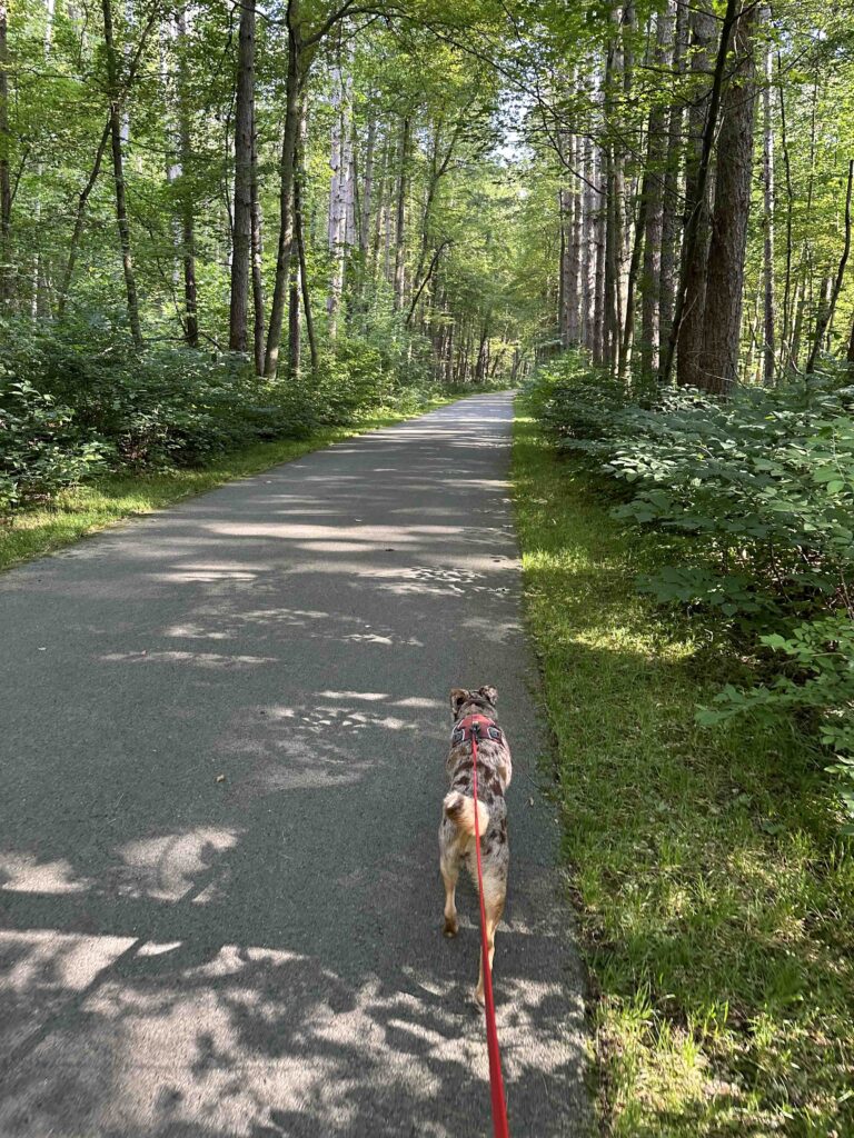 bike trail at Oak Openings Preserve