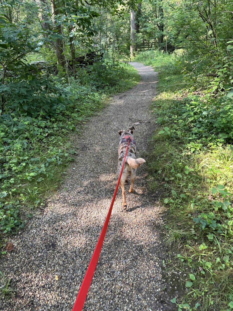 on the trail at Riverbend Park