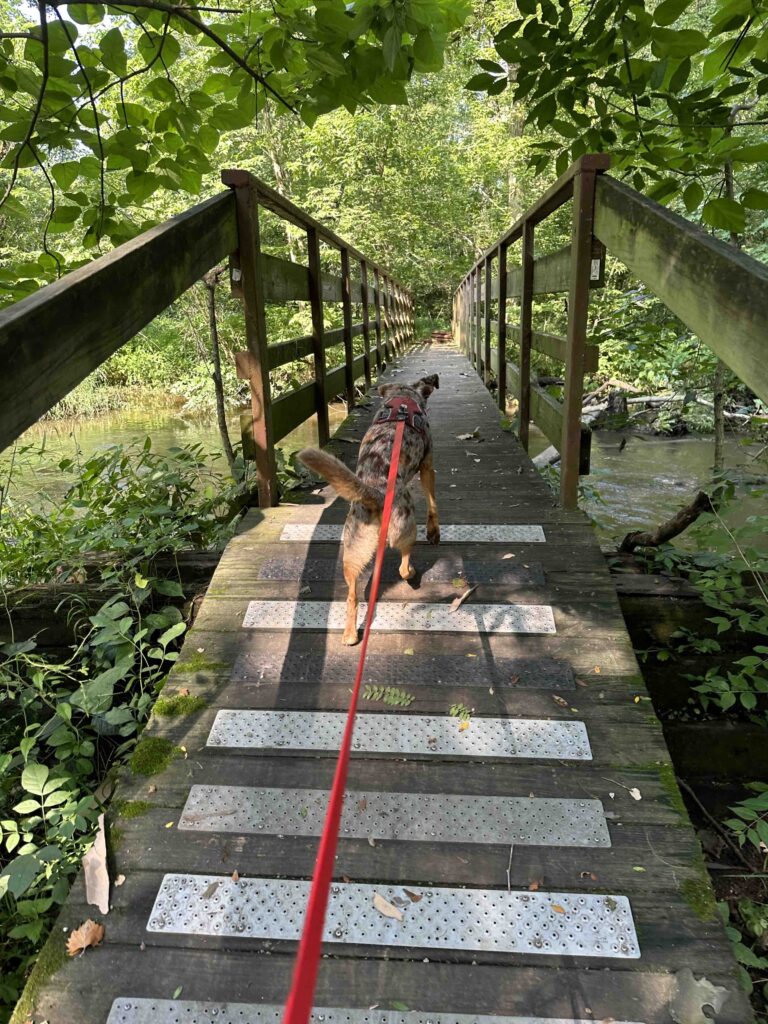 another bridge over the Elkhart River