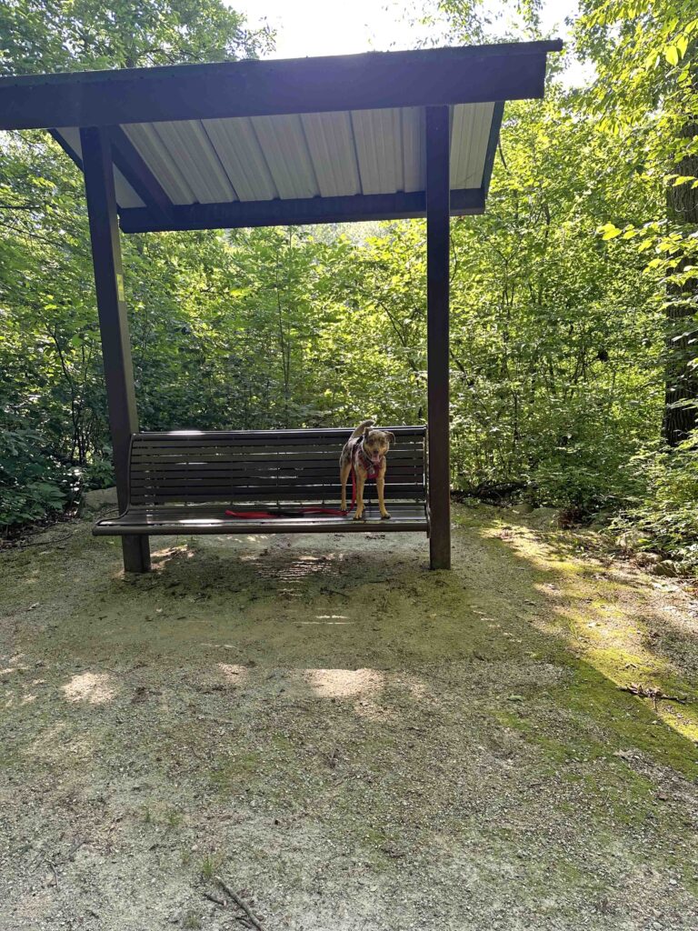 bench at Delt Church Park