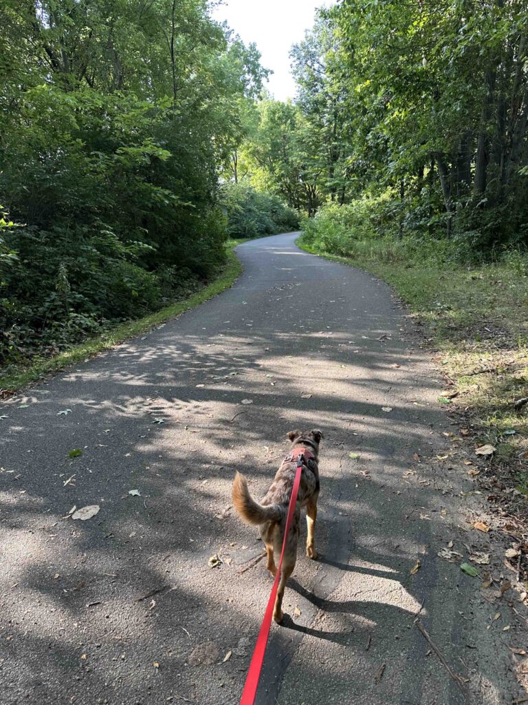 On the puffer belly trail