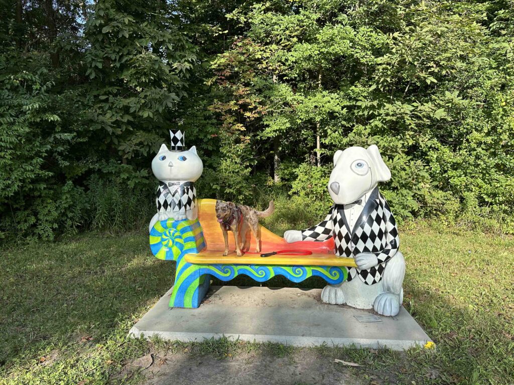 memorial bench