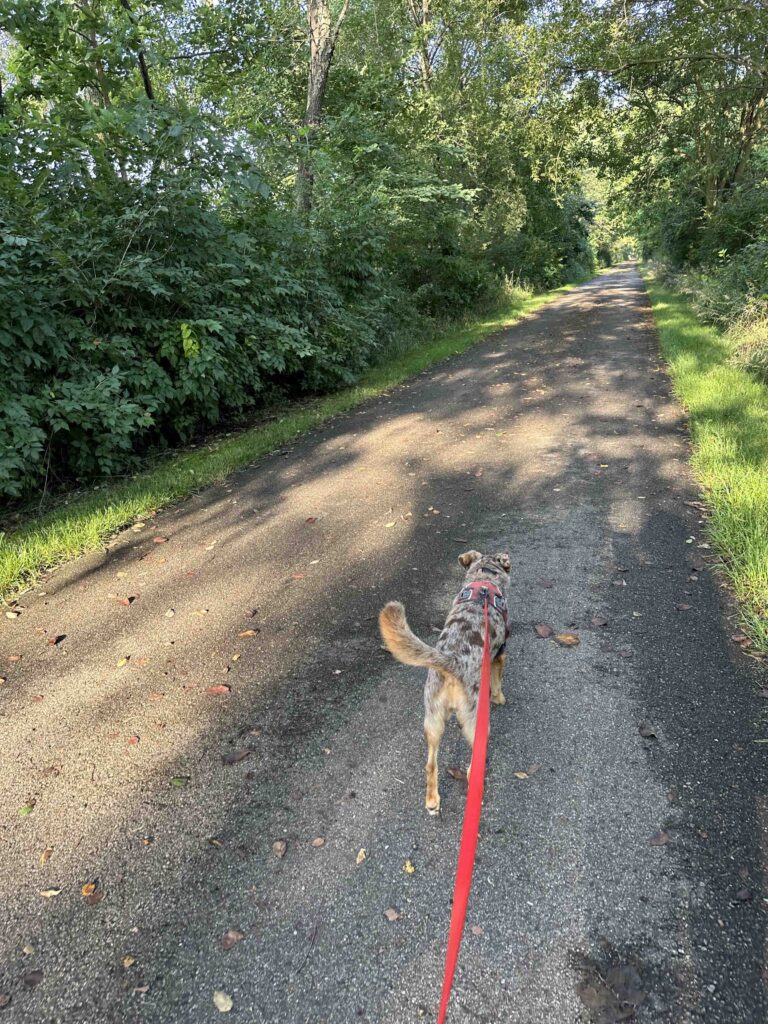 on the Pumpkinvine trail