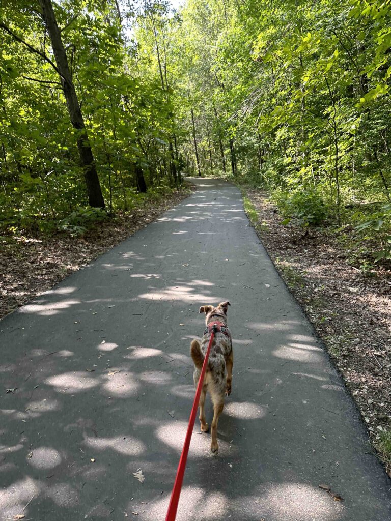 Sunny on the Pufferbelly trail