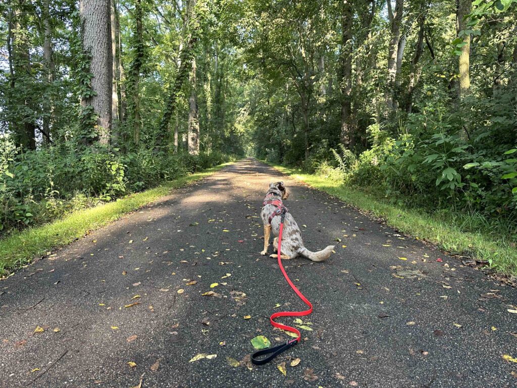 pumpkinvine trail