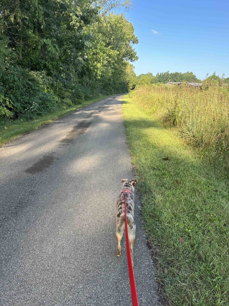 on the trail