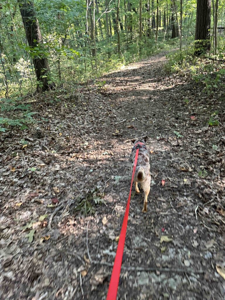 on the trail at Deniston Natural Resource Area