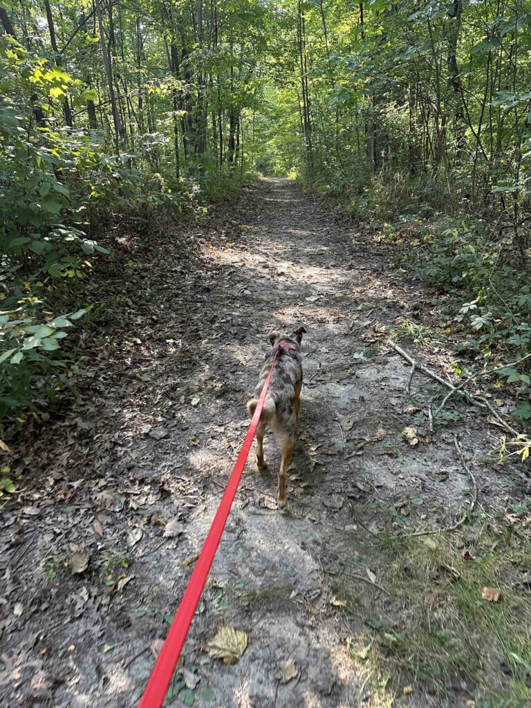 on the trail at Deniston Natural Resource Area