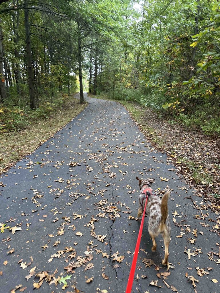 On the Payton Park Loop trail