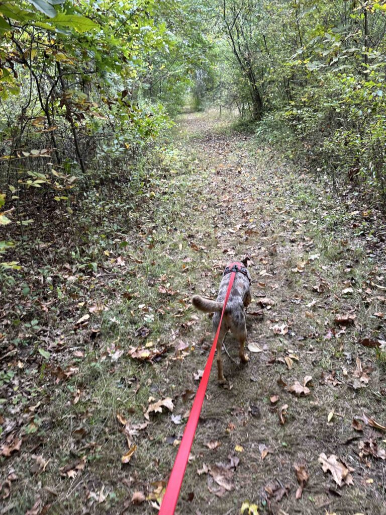 on the trail at Payton County Park