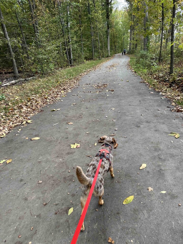 on the Pufferbelly trail