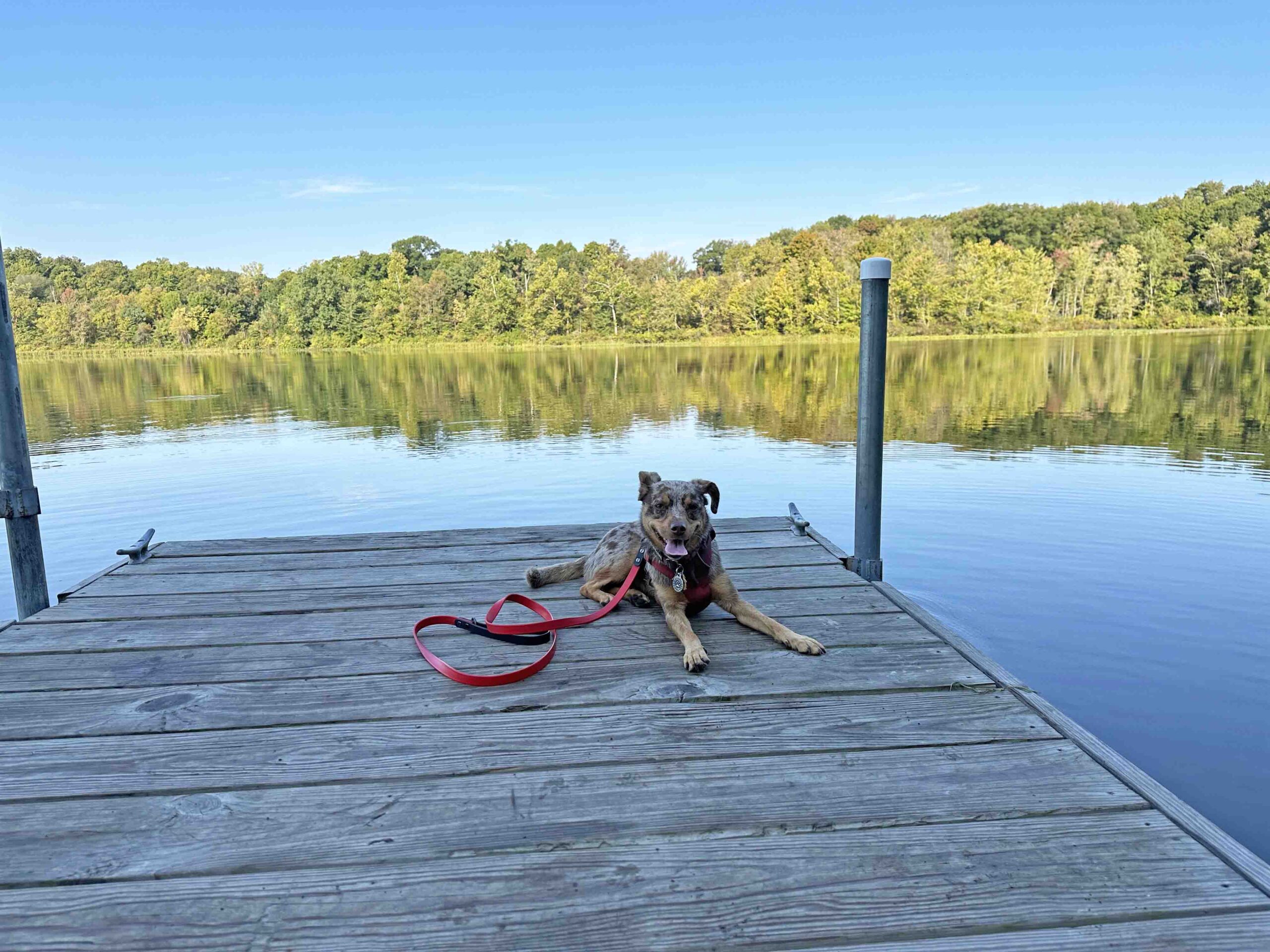 Lake Robinson at Deniston Natural Resource Area