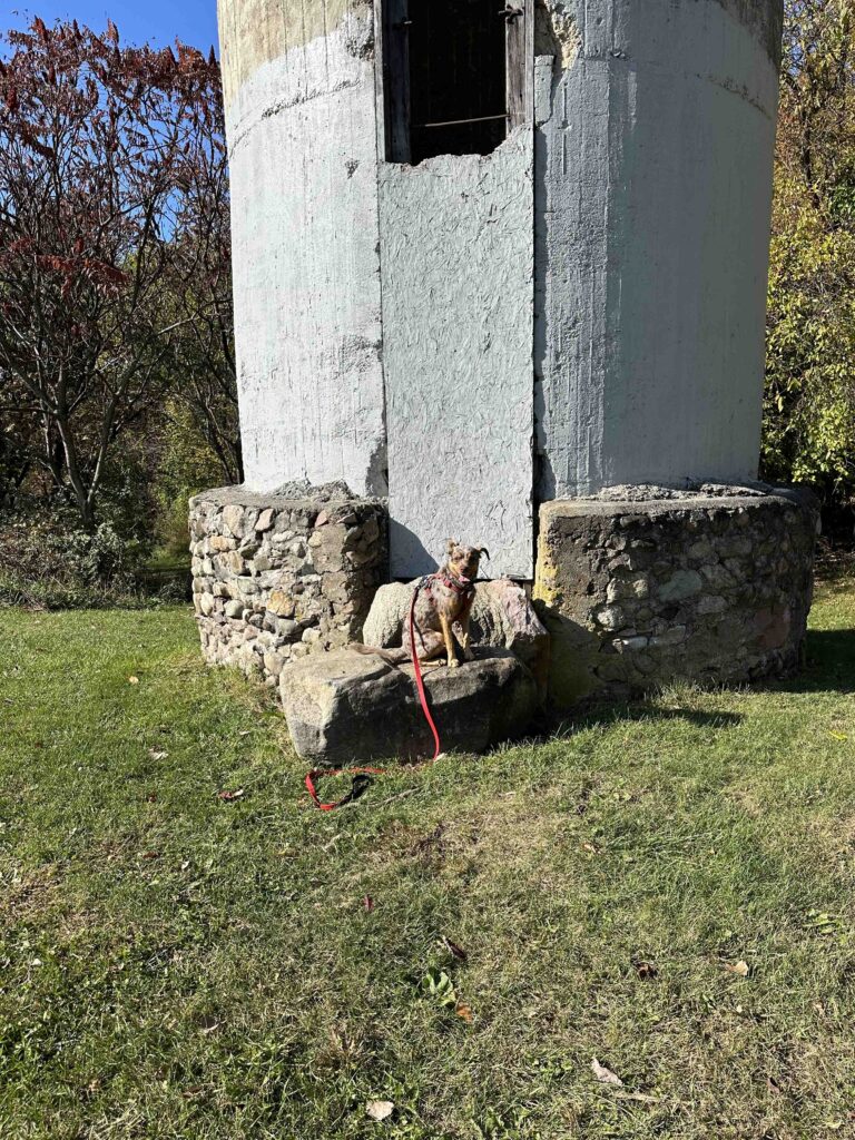 tower at entrance to trails