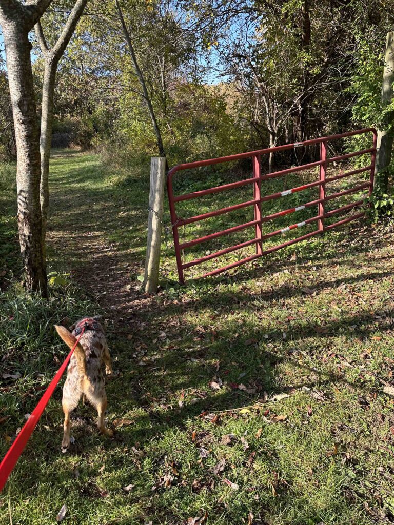 trail entrance at Woodland Park and Nature Preserve