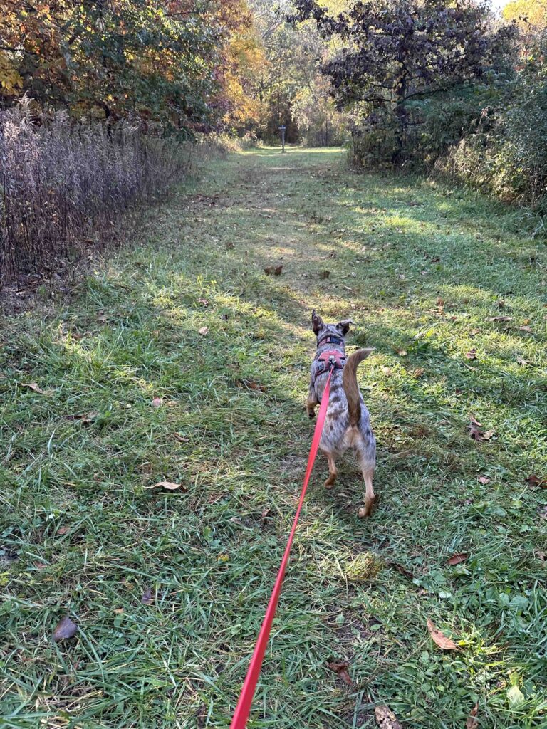 on the trail