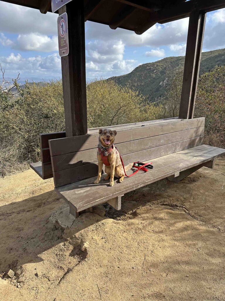 Harmony Grove Overlook