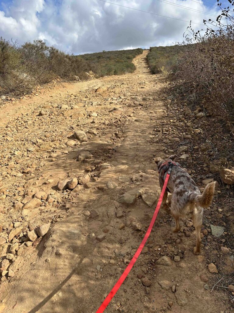 more uphill climbing