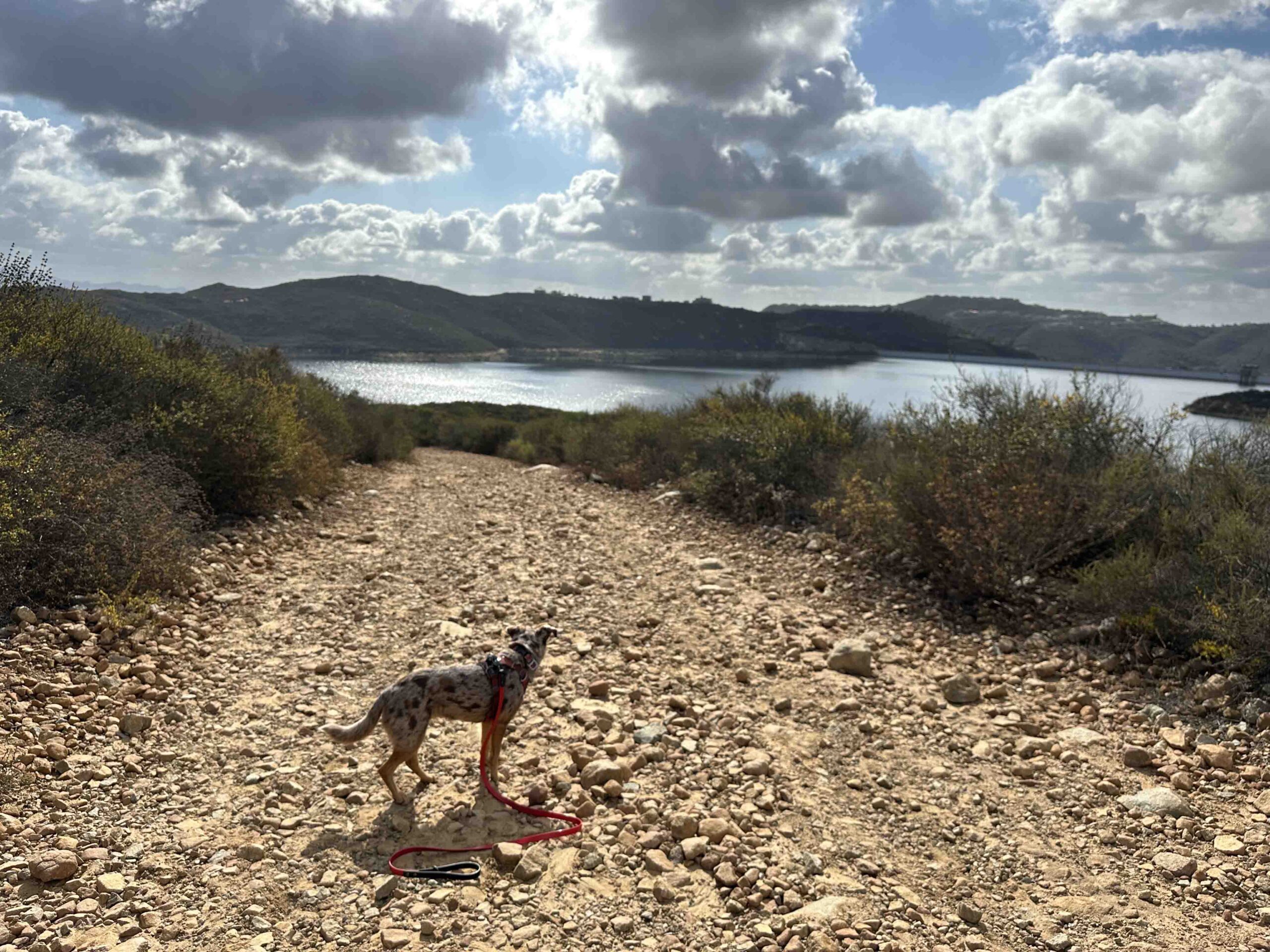 Elfin Forest Recreational Reserve