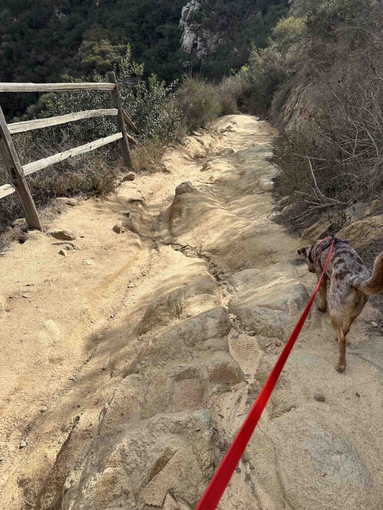 the way back down at Elfin Forest Recreational Reserve