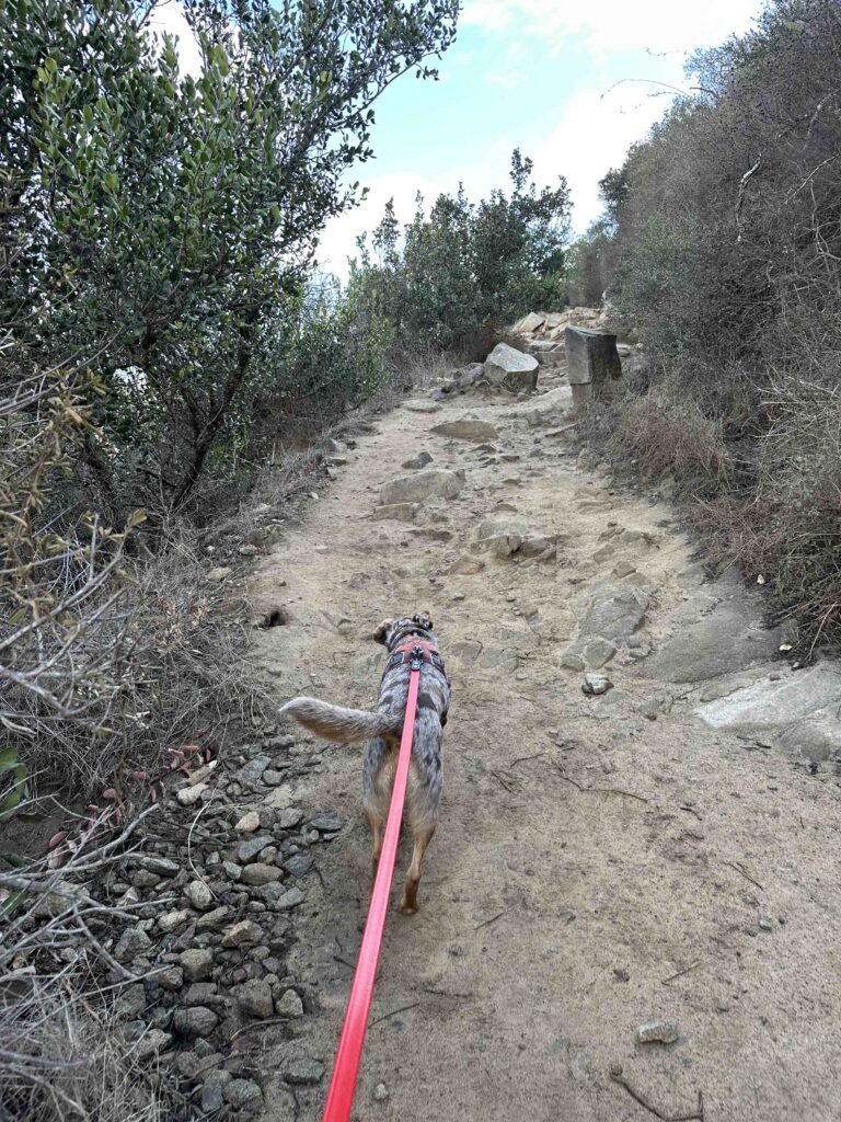 start of hike at Elfin Forest Recreational Reserve