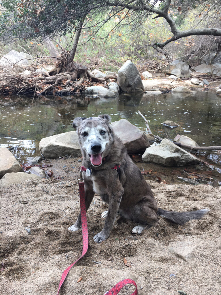 Karlie at the creek