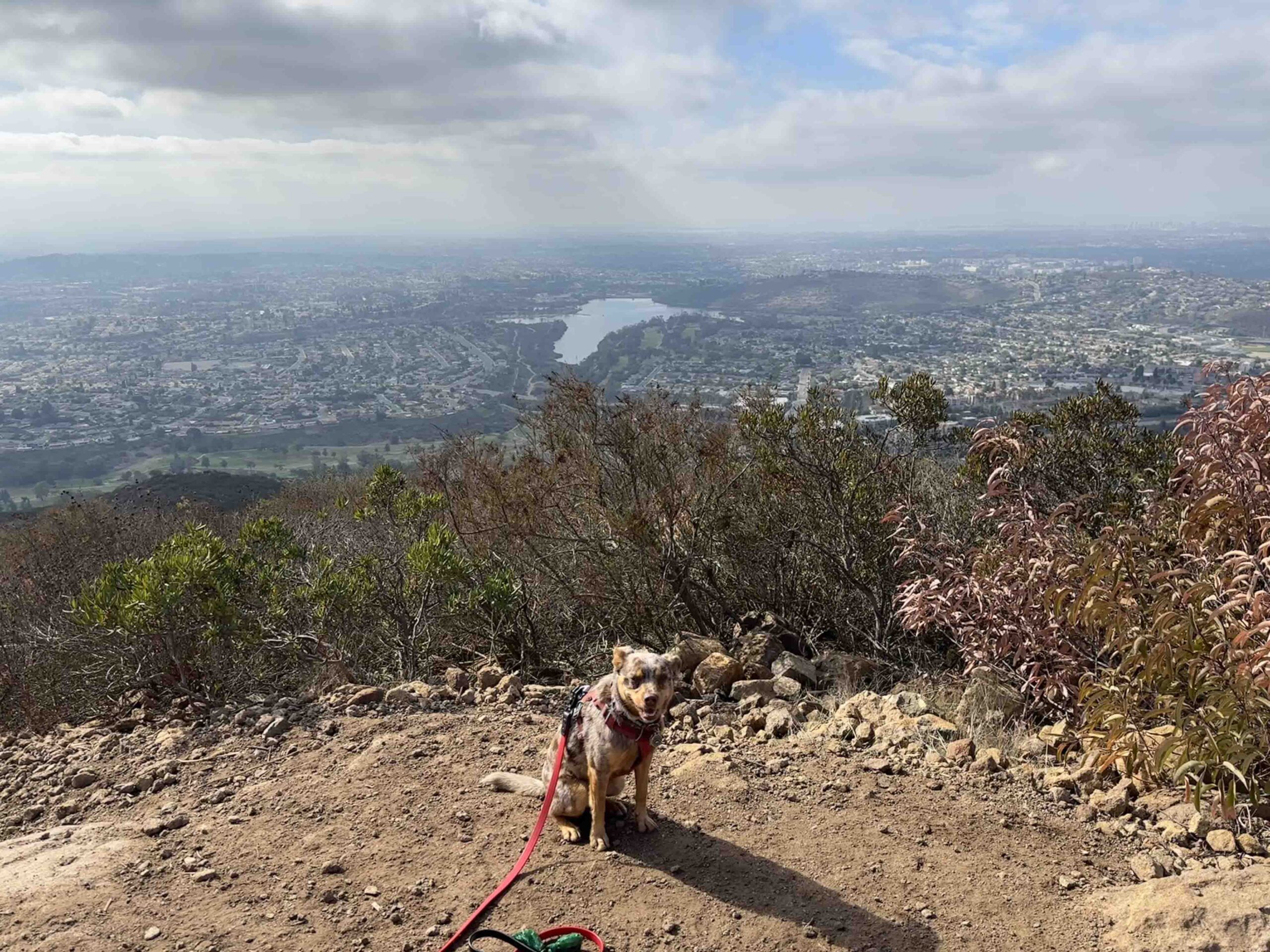 Cowles Mountain peak