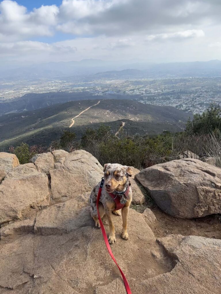 Cowles Mountain summit