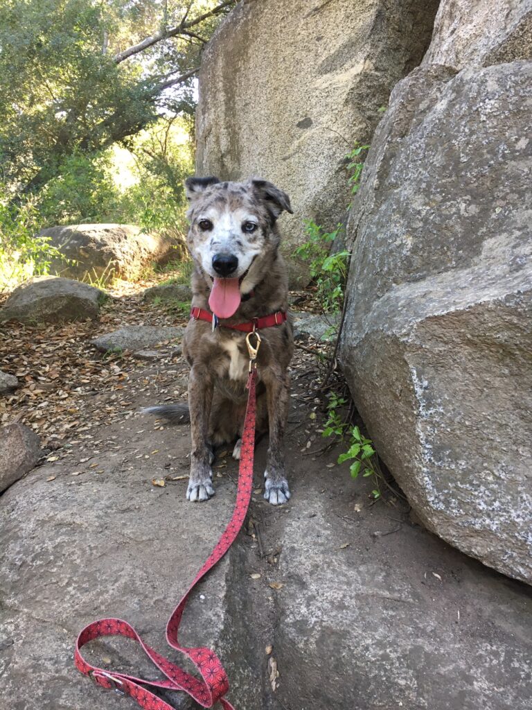 Karlie and rock formation at Santa Margarita River Trail