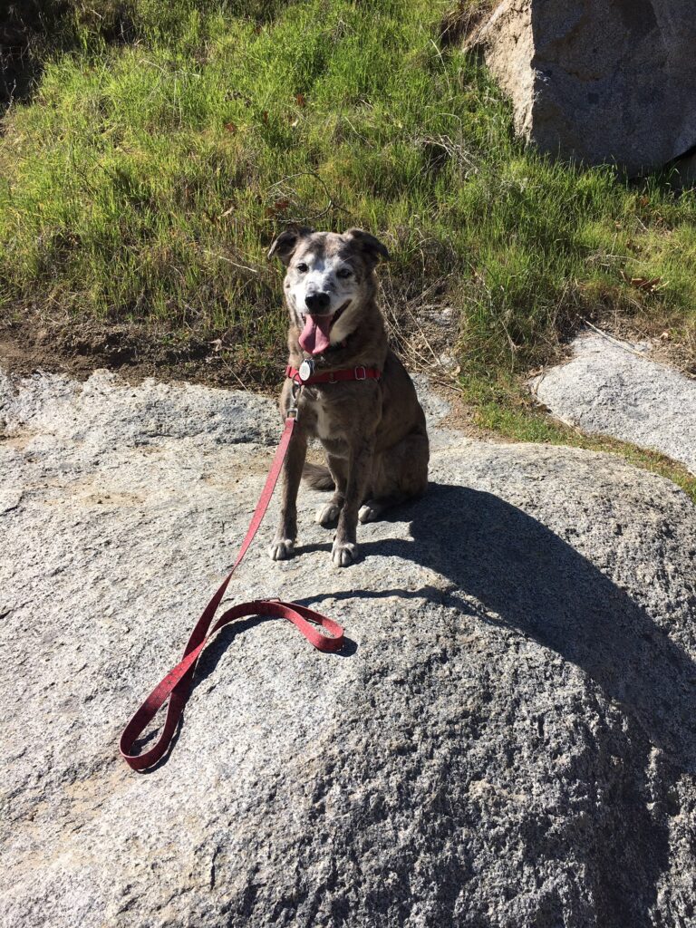 Karlie on rock near the river crossing