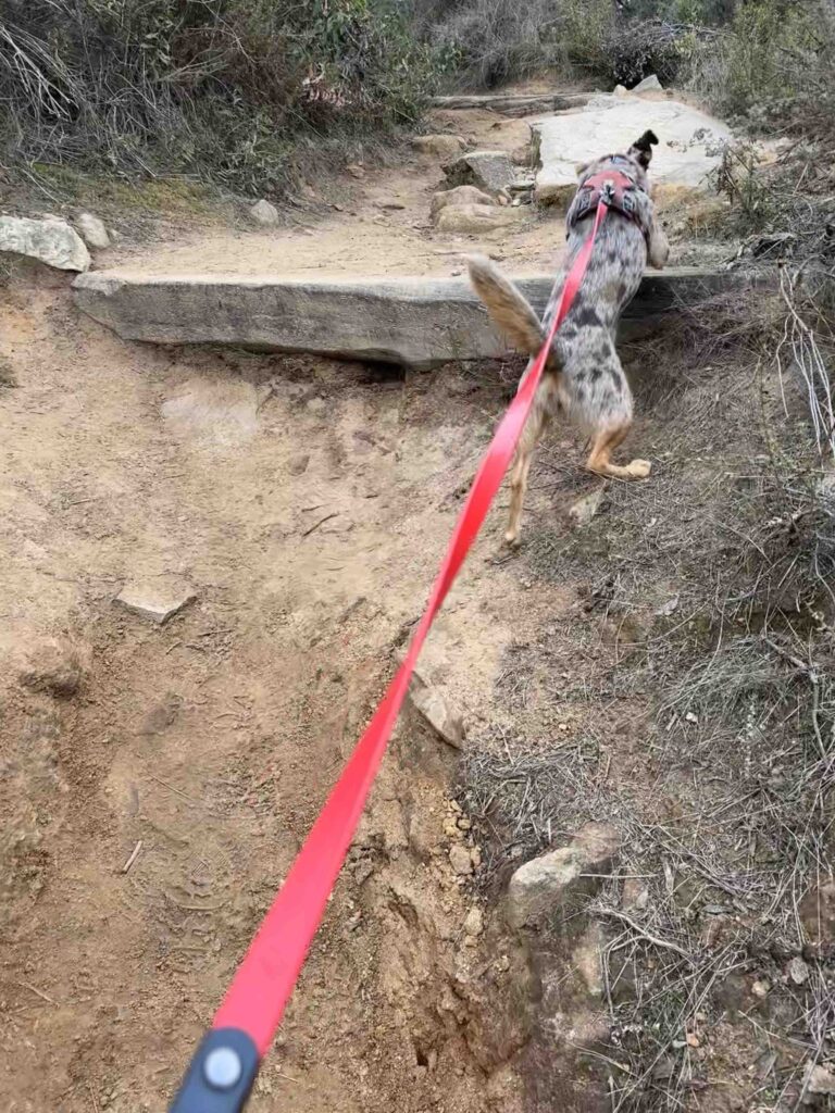 climbing up the Mesa trailhead to Cowles Mountain