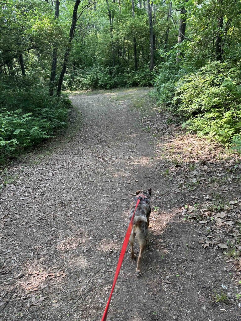 on the trail