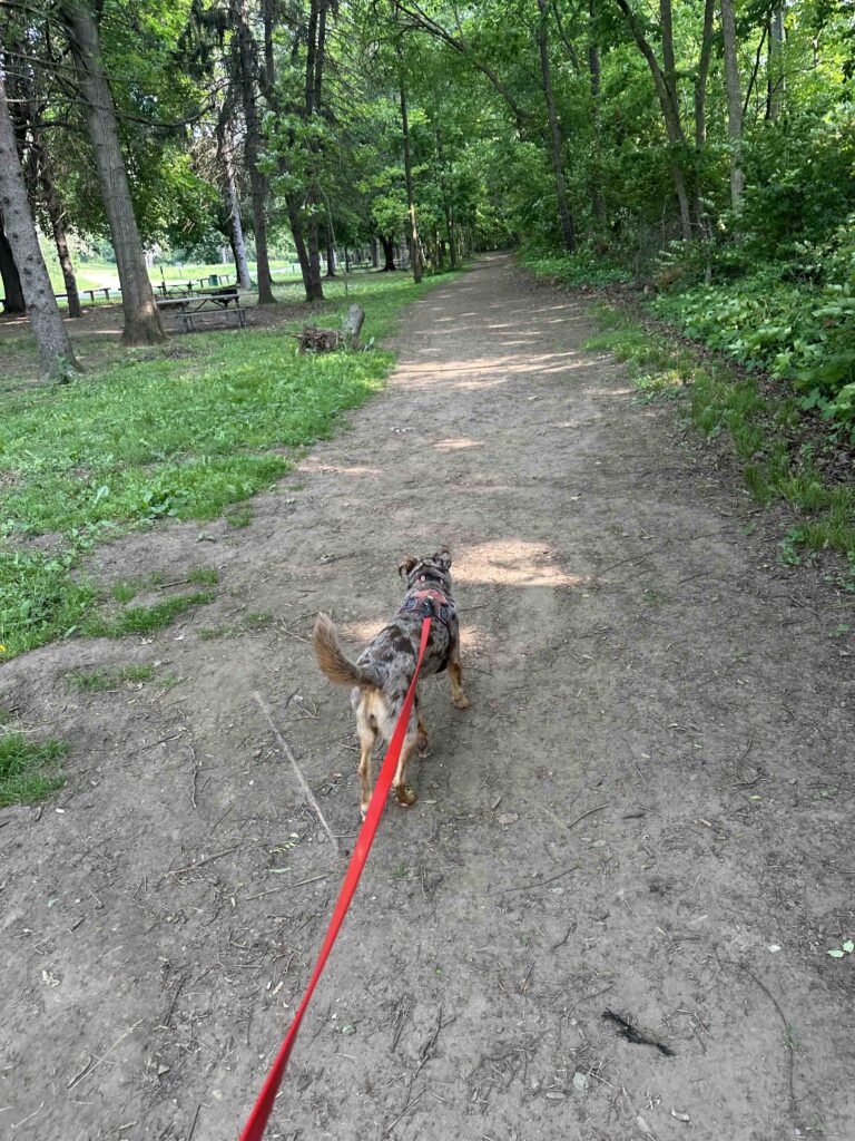 on the trail